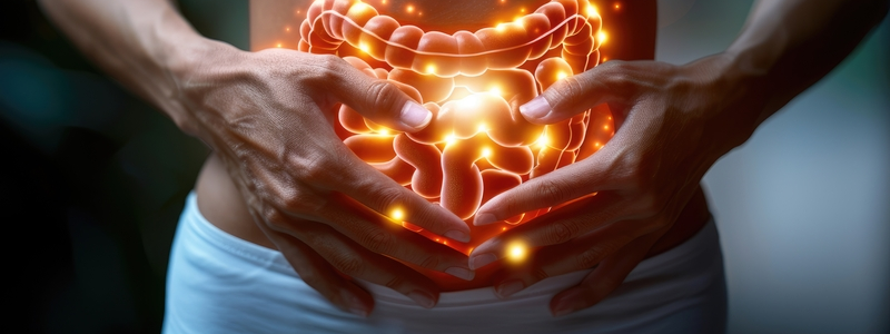 11 Ways to Boost Gut Microbiome Diversity for Better Digestive Wellness 