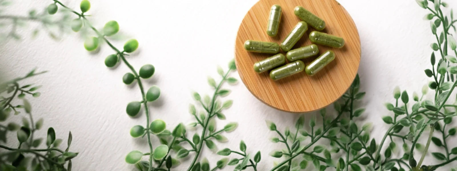 13 Creatine Monohydrate Vegetarian Tips for Maximum Gains 