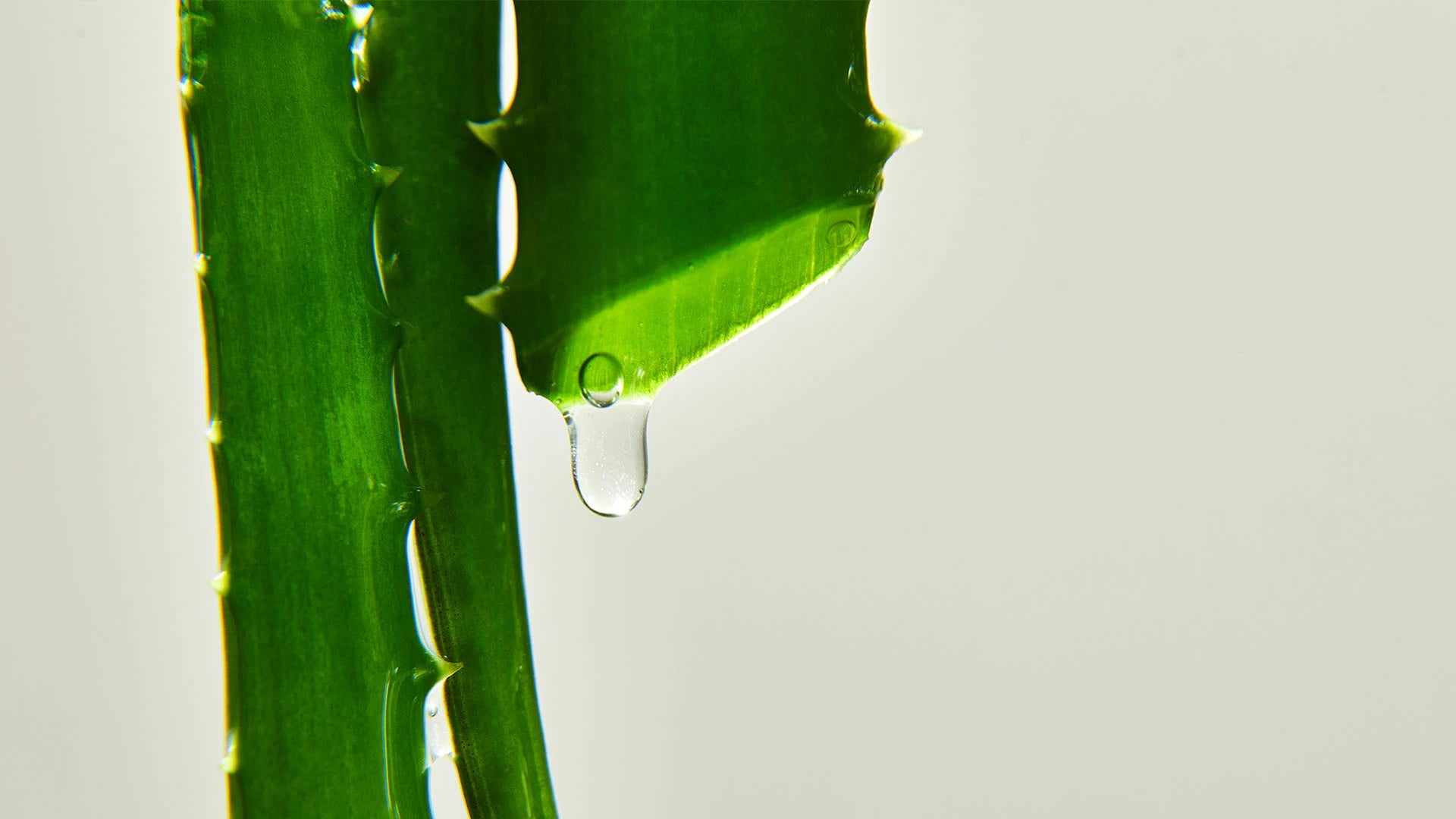 13 Natural Healing Practices for Whole-Person Wellness 