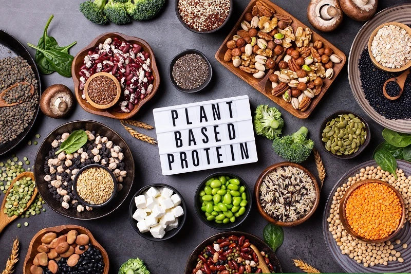Various plant based protein powder containers with natural ingredients like peas and rice 