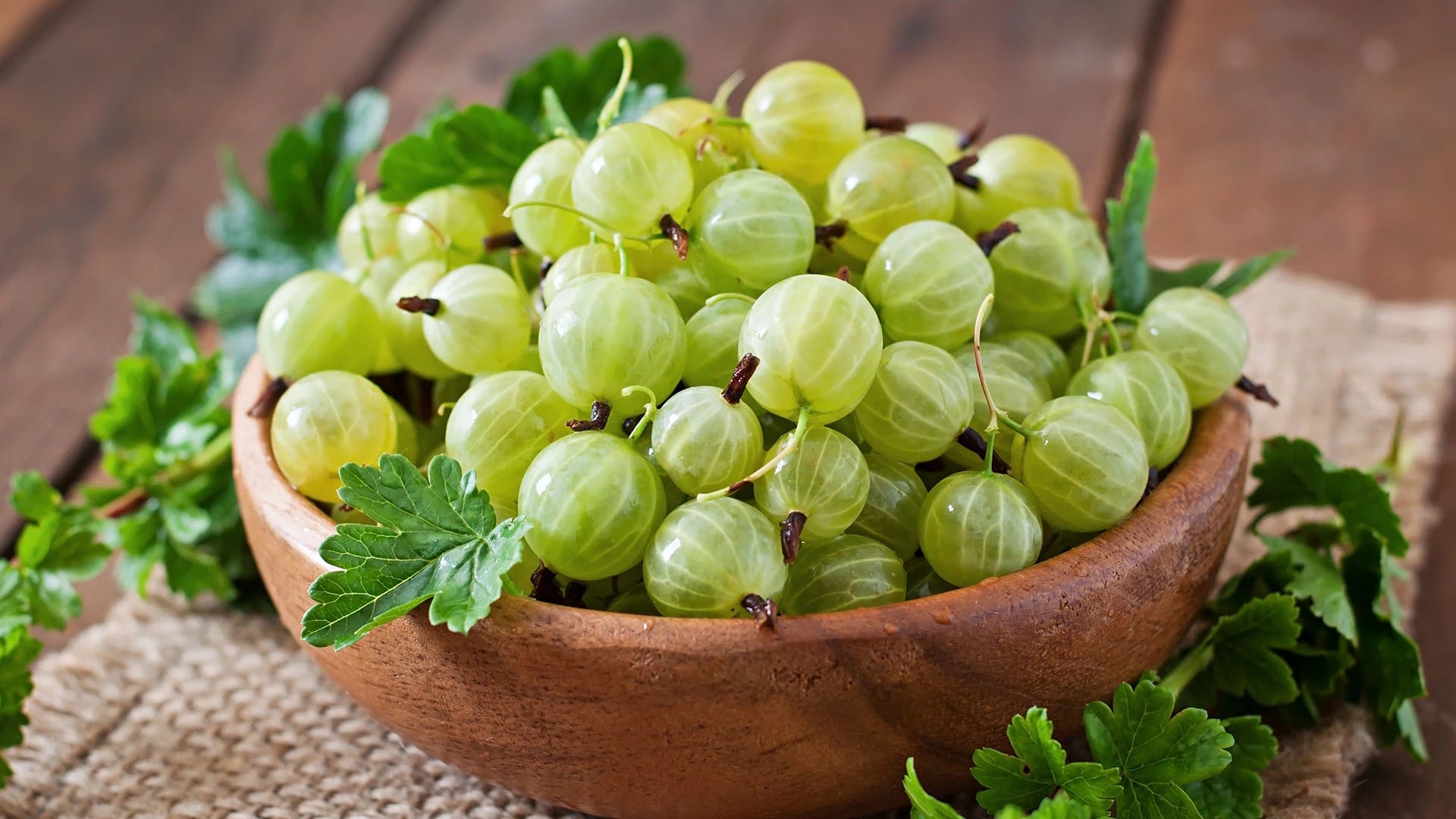 Blog Banner - 2.webp 