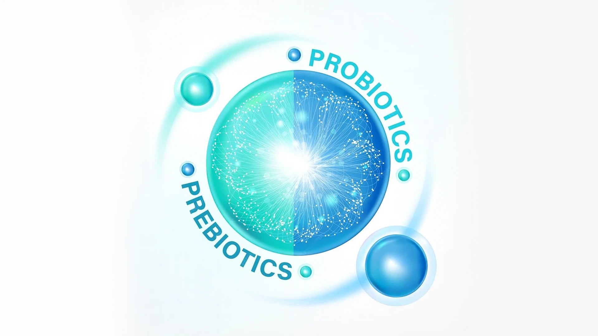 A collection of the best digestive balance supplements including probiotic capsules and powders on a clean background. 