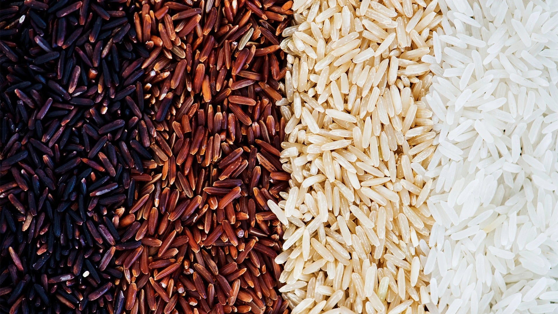 Guide to understanding calories in different types of rice. 