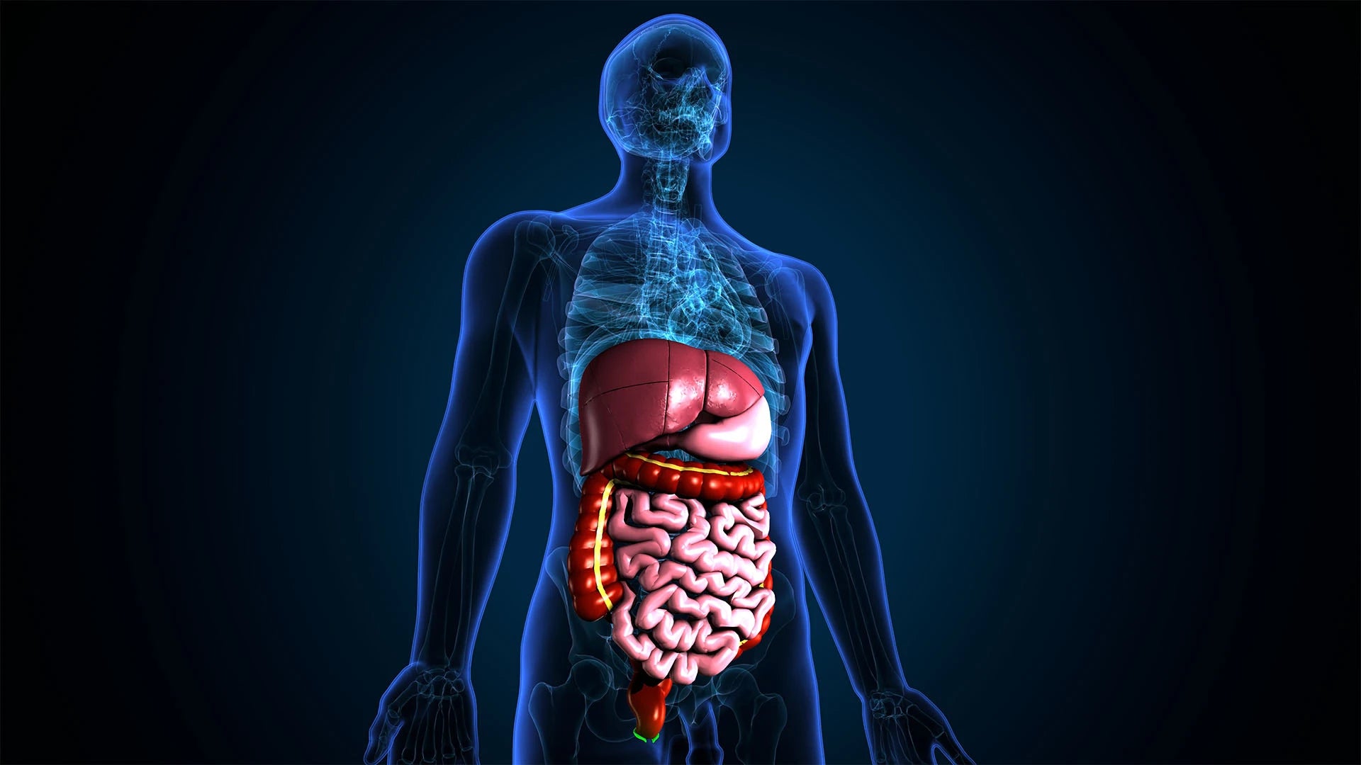 A capsule of probiotics next to prebiotic-rich foods, illustrating how to take probiotics effectively. 