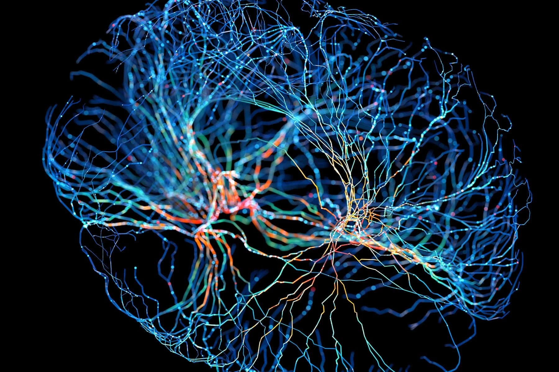 Comparing Cognitive Function Strategies for Optimal Mental Wellness 