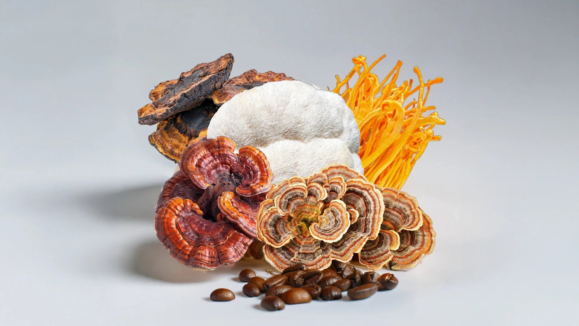 Mushroom Coffee FAQs: Blood Pressure, Diabetes & PCOS 