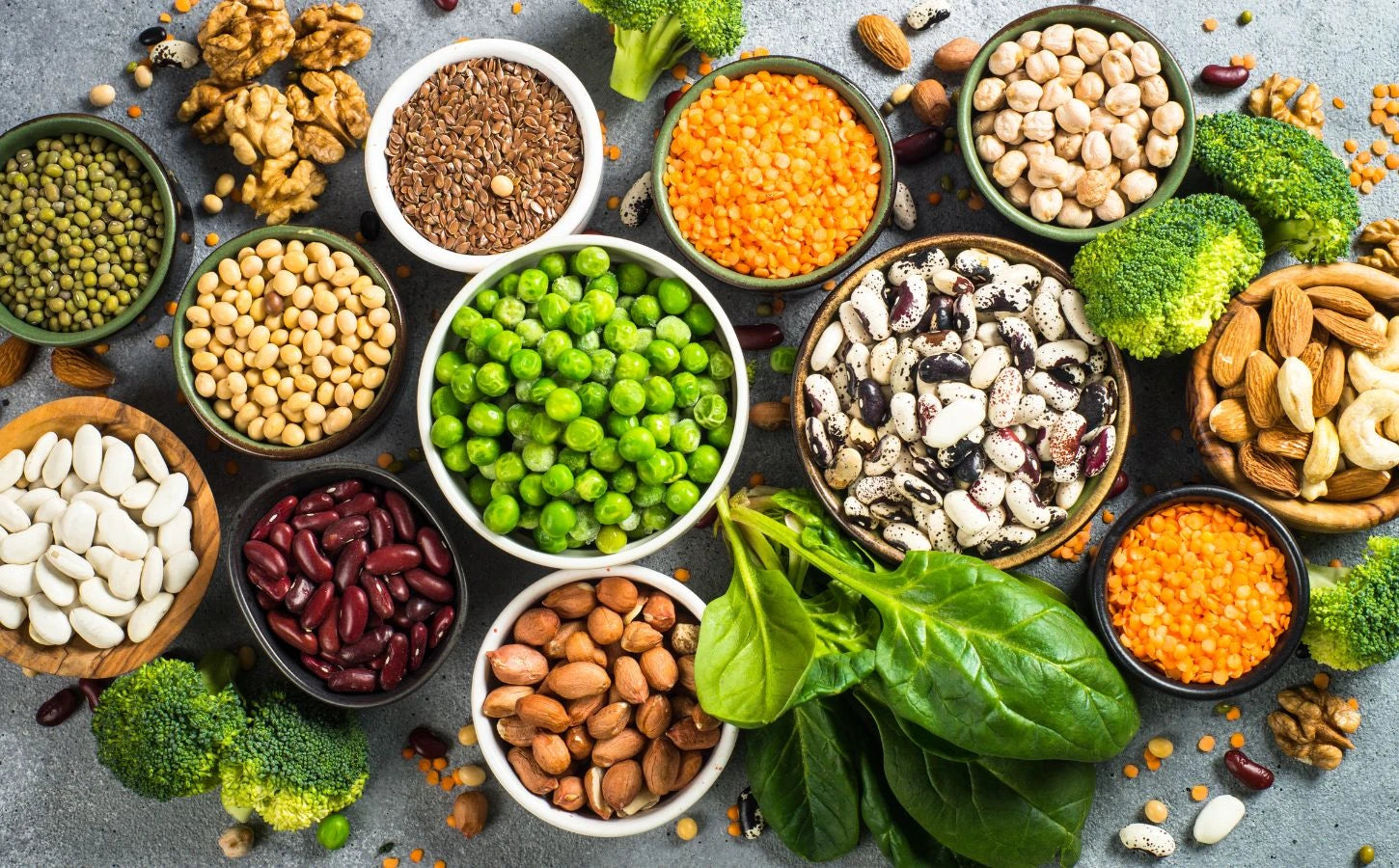 Your Guide to the Best Protein For Women: Powders & Sources 