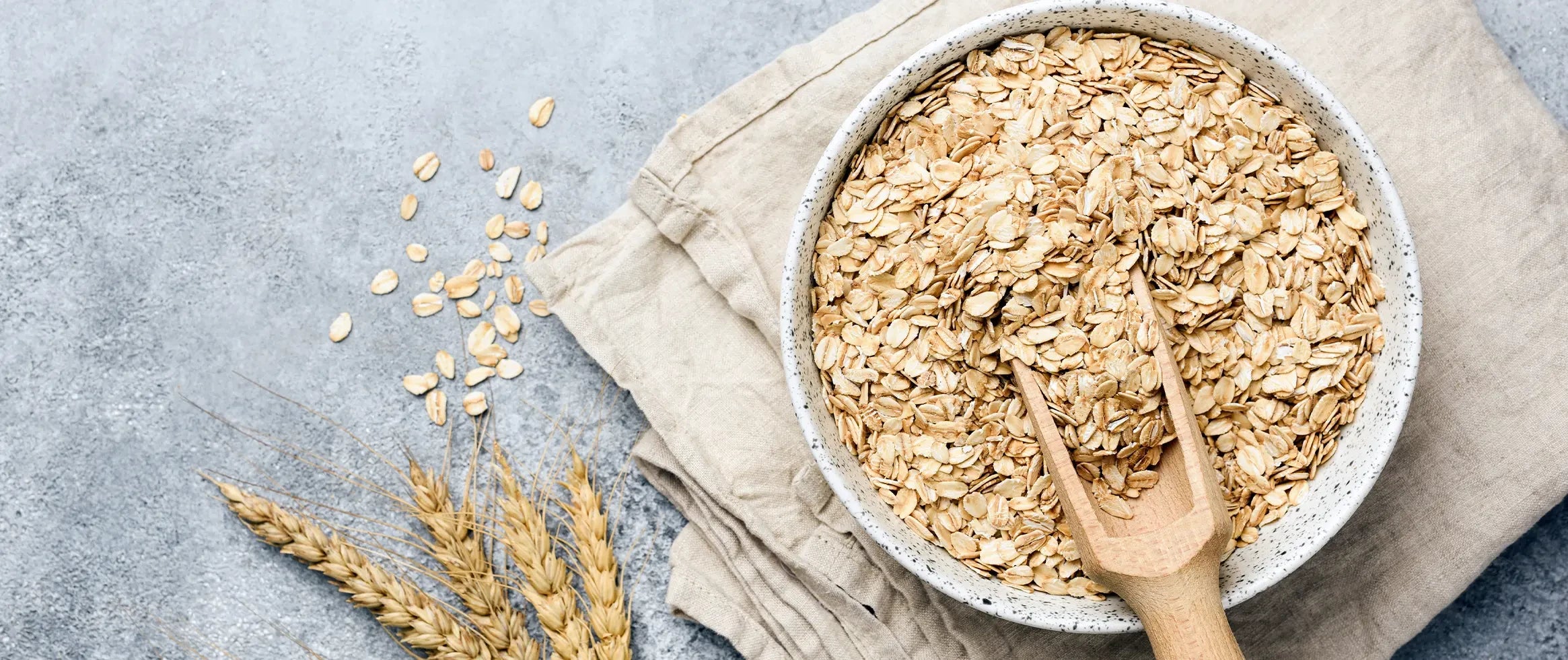 Protein in Oats: Your Complete Nutrition Guide 