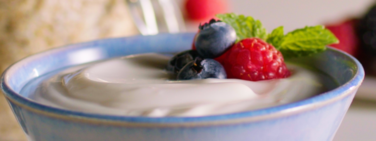 Protein in Yogurt: Your Complete Guide Explained 