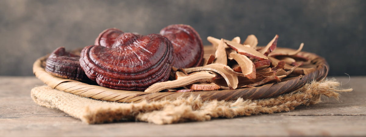 Reishi Mushroom Adaptogen Properties: Your Questions Answered 
