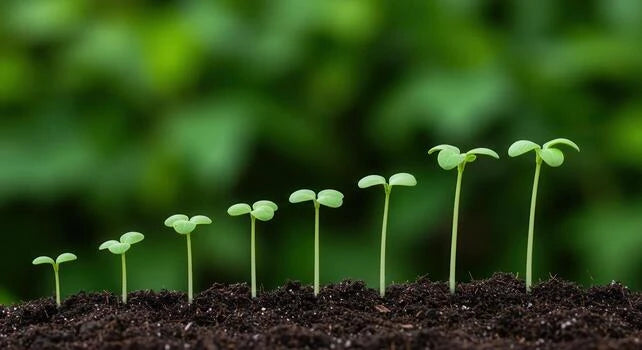 Understanding Nutrition Through Life Stages: An FAQ 