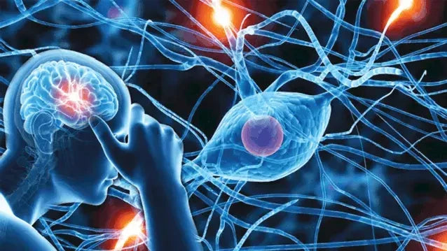 The Ultimate Checklist for Nervous System Balance 