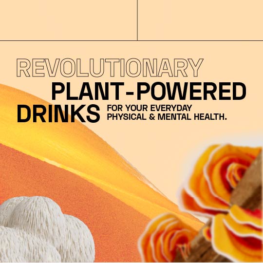 High R Function Drinks Functional Drinks