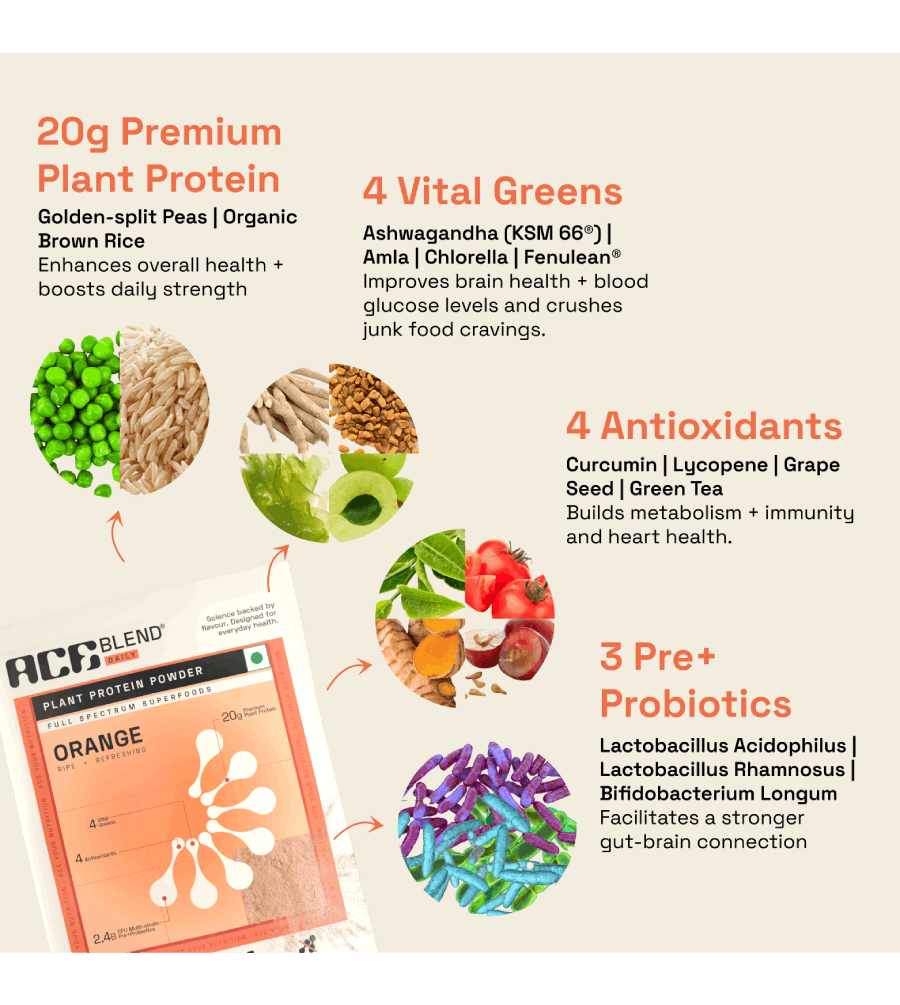 Premium Plant Protein | Daily