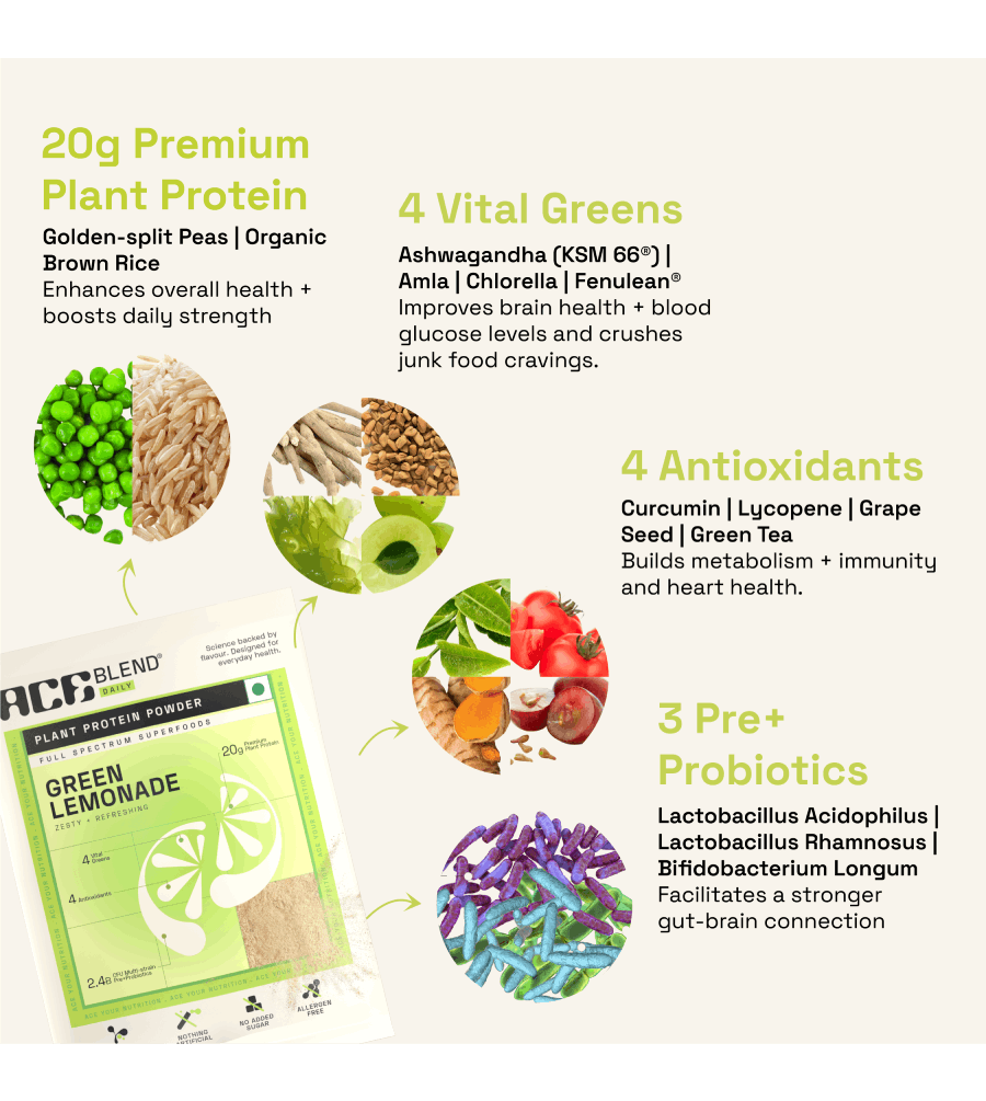 Premium Plant Protein | Daily