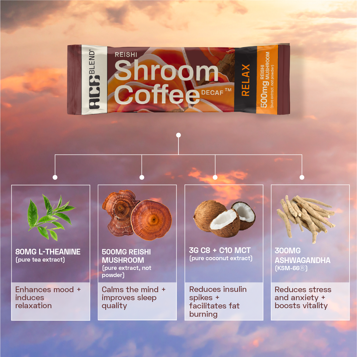 Functional Shroom Coffee Combo (Lion's Mane, Reishi & Cordyceps) - 45 Servings Pack